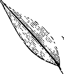 110/110220030200500_0.png
