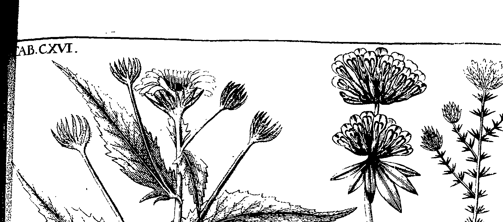 110/110220030200500_2.png