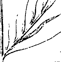 110/110220030200530_0.png