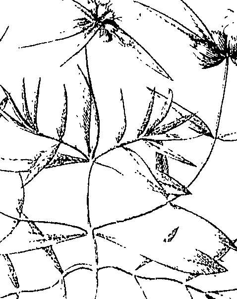 110/110220030200530_1.png