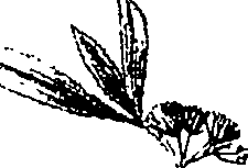 110/110220030200530_3.png