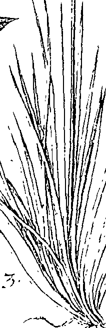 110/110220030200540_0.png