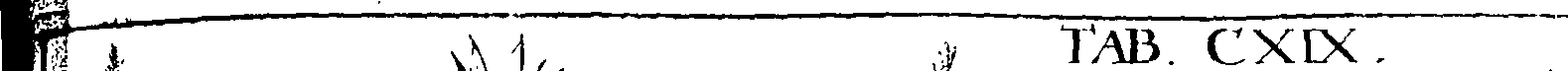 110/110220030200540_1.png