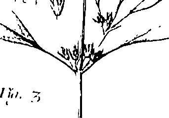110/110220030200550_0.png