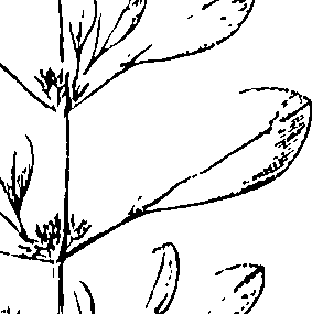 110/110220030200550_1.png