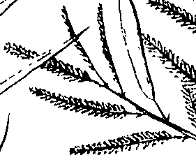 110/110220030200550_2.png