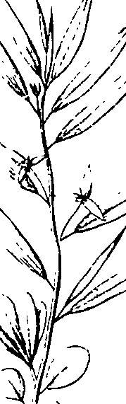 110/110220030200550_3.png