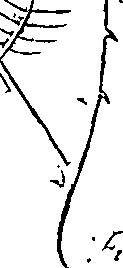 110/110220030300050_0.png