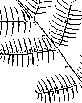 110/110220030300050_1.png