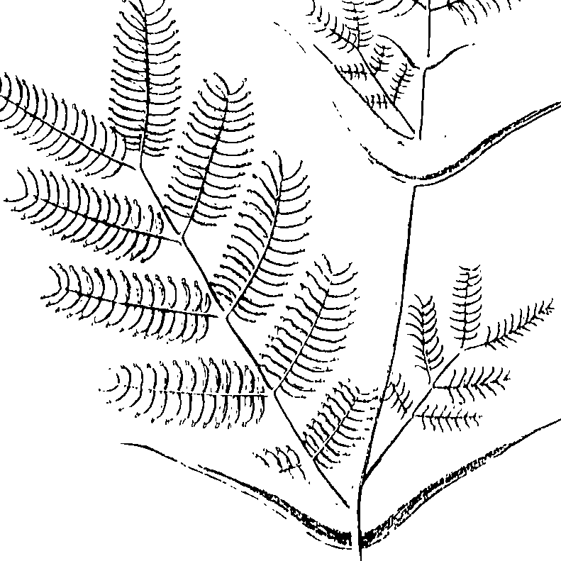 110/110220030300060_0.png