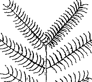 110/110220030300070_0.png