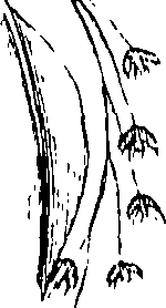 110/110220030300080_1.png
