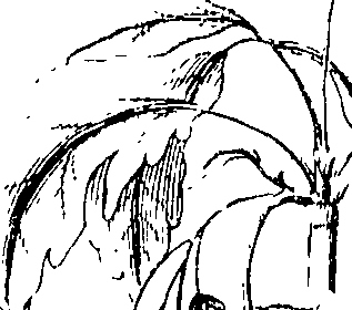 110/110220030300080_2.png
