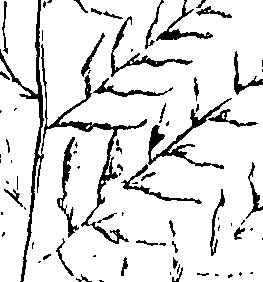110/110220030300090_0.png