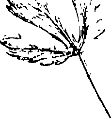 110/110220030300100_0.png