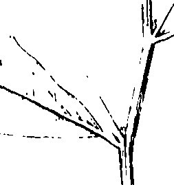 110/110220030300110_0.png
