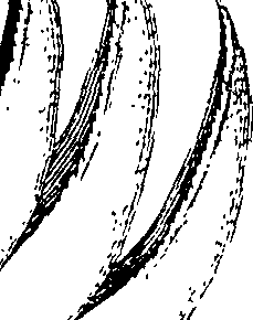110/110220030300140_0.png