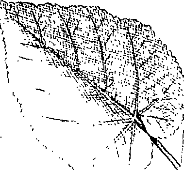 110/110220030300160_0.png