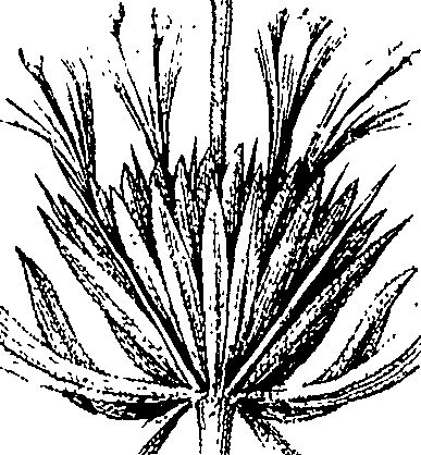 110/110220030300180_0.png