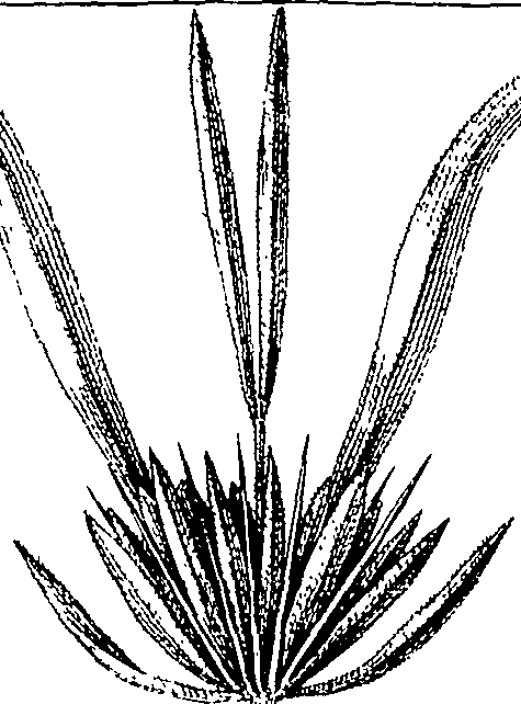 110/110220030300180_1.png