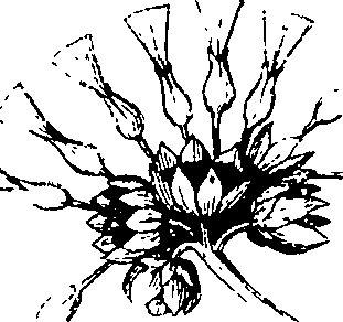 110/110220030300210_1.png