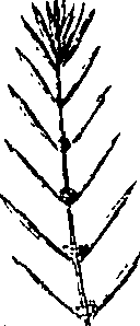 110/110220030300210_2.png