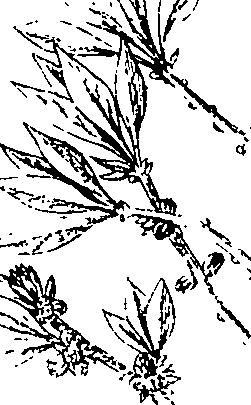 110/110220030300240_0.png