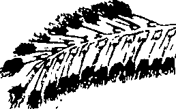110/110220030300260_0.png