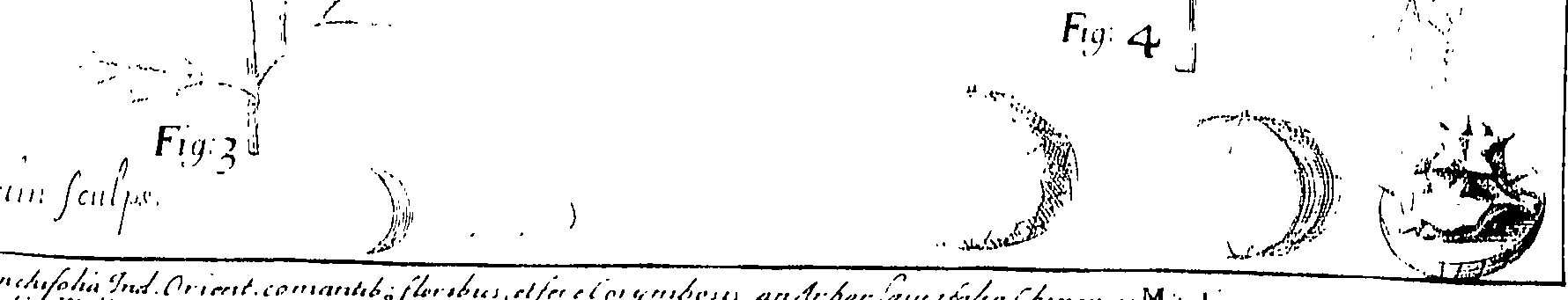 110/110220030300270_0.png