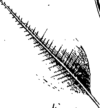110/110220030300280_0.png
