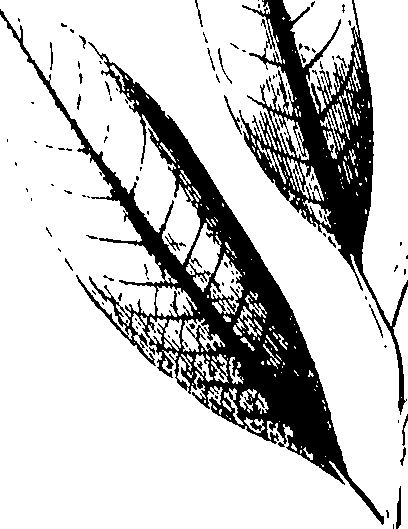 110/110220030300280_1.png