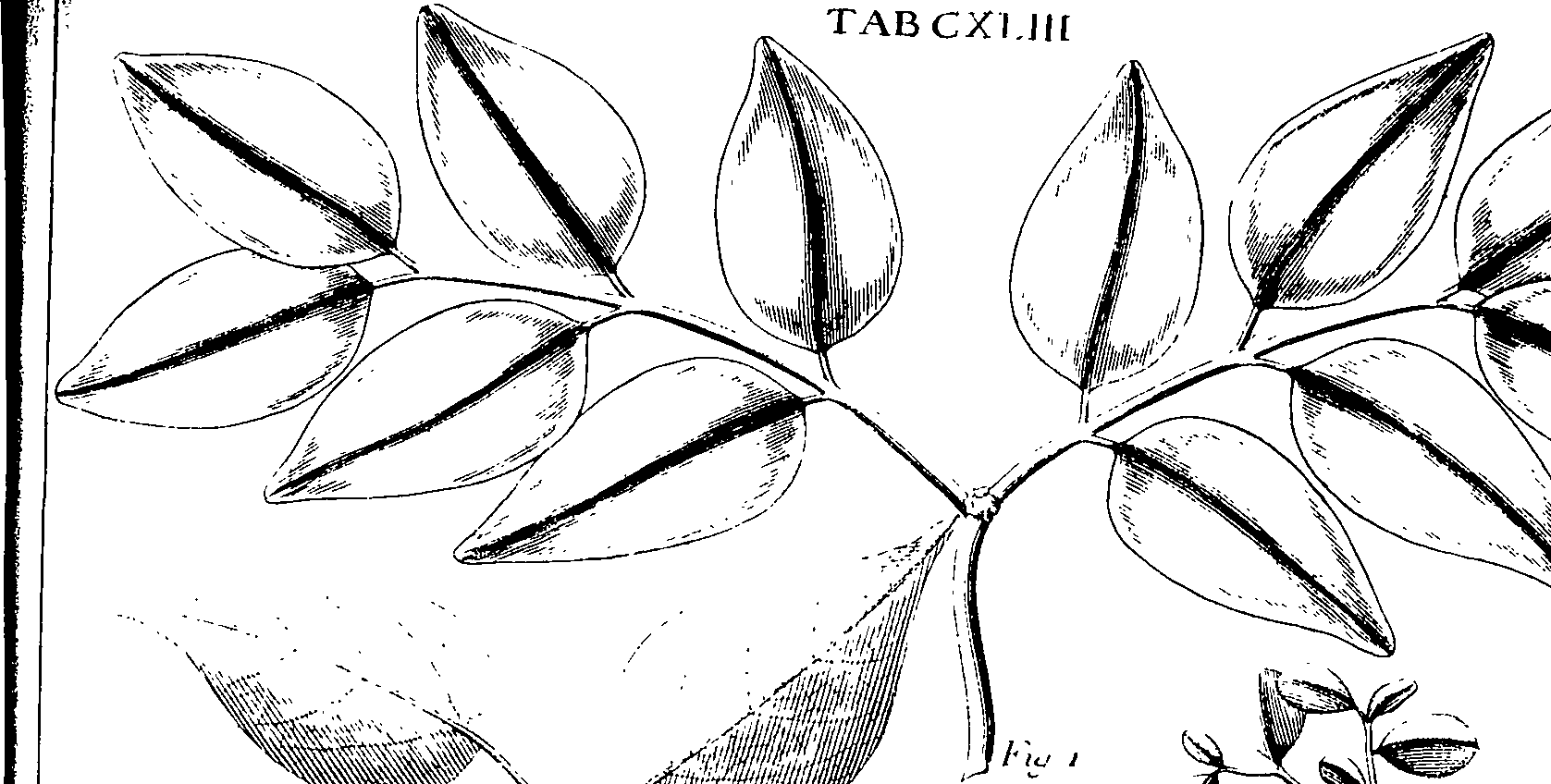 110/110220030300280_2.png
