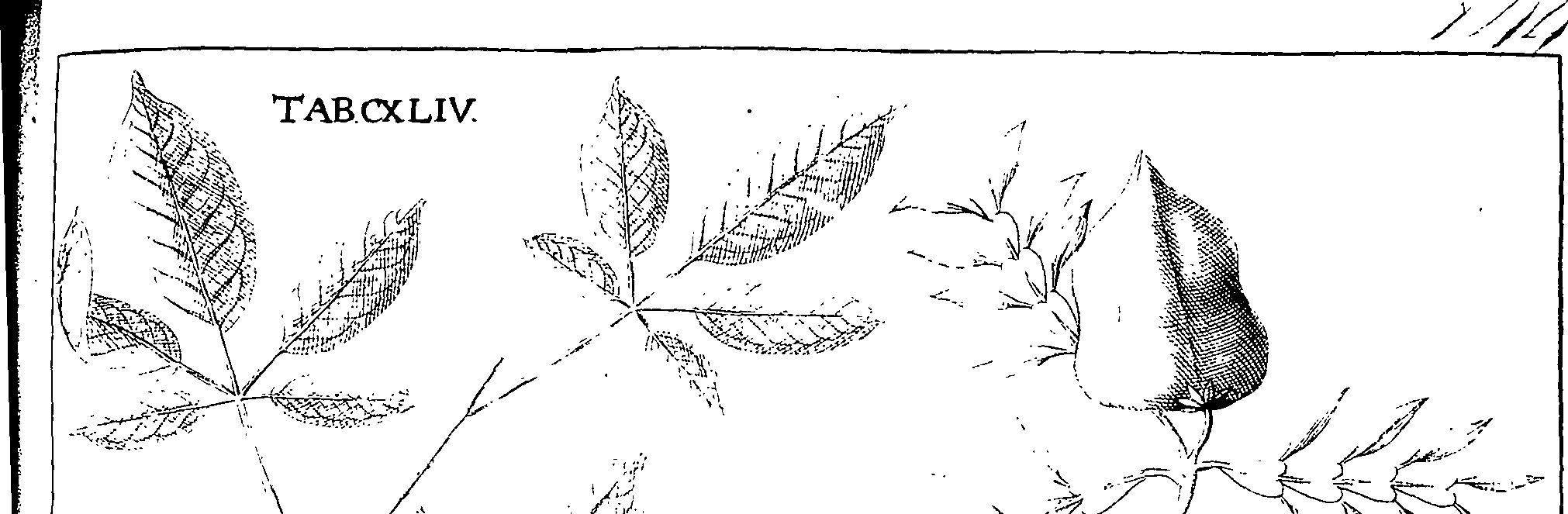 110/110220030300290_0.png