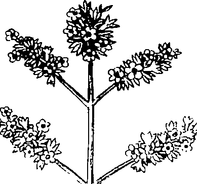 110/110220030300300_1.png