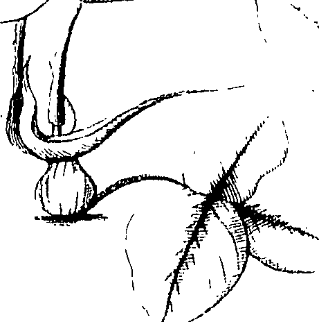 110/110220030300330_0.png