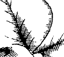 110/110220030300330_1.png