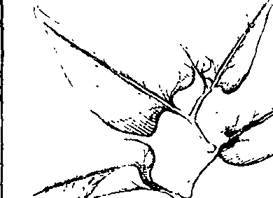 110/110220030300330_2.png