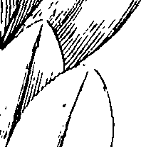 110/110220030300340_0.png