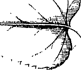 110/110220030300350_0.png