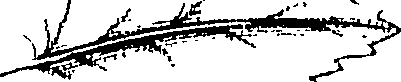 110/110220030300350_1.png
