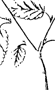 110/110220030300350_2.png