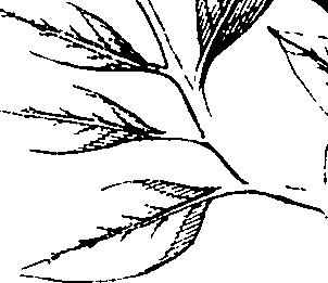 110/110220030300350_3.png