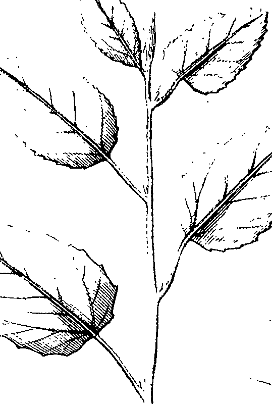 110/110220030300350_4.png