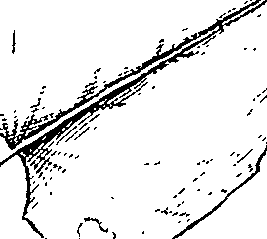 110/110220030300360_0.png