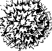 110/110220030300370_0.png