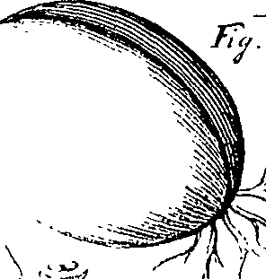 110/110220030300370_1.png