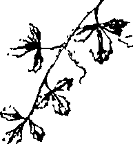 110/110220030300370_2.png