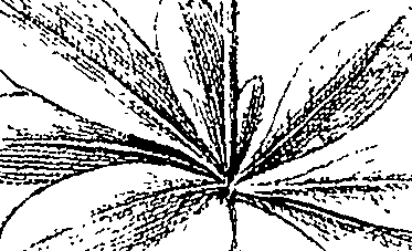 110/110220030300380_0.png