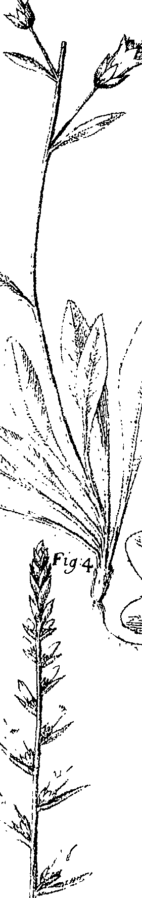 110/110220030300380_1.png