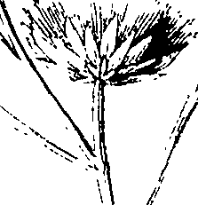 110/110220030300390_0.png